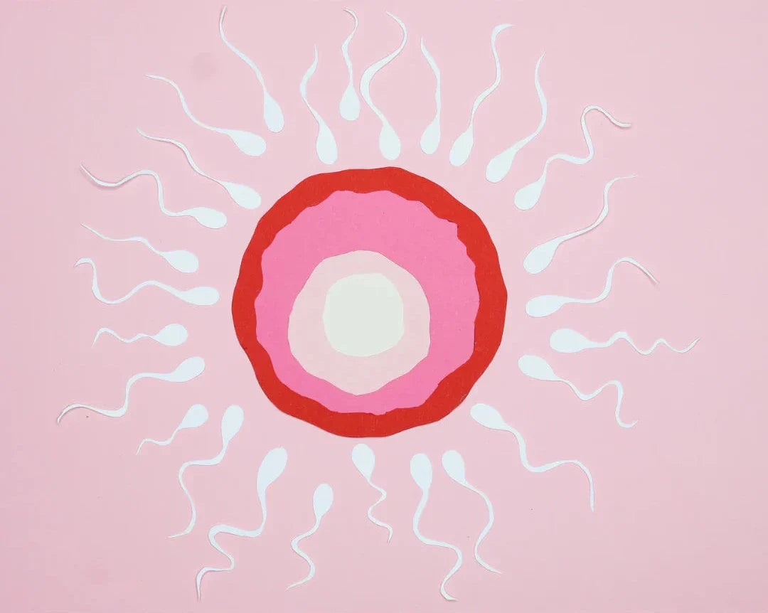 Fertility Support