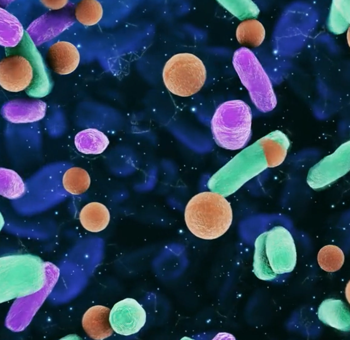 < 100 Billion live bacteria per capsule