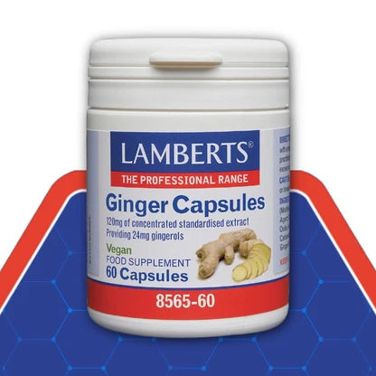 Lamberts Ginger 120mg 60 Capsules