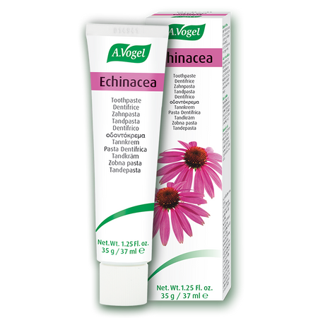 A.Vogel Echinacea Toothpaste 100g - MicroBio Health