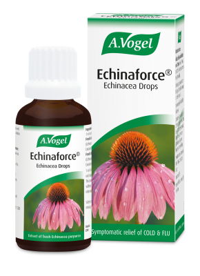 A.Vogel Echinaforce Drops 50ml - MicroBio Health